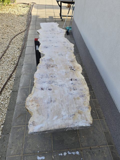 Placă de plop bubos